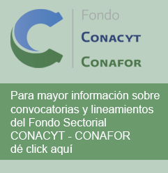 Información sobre lineamientos del fondo sectorial CONACYT-CONAFOR